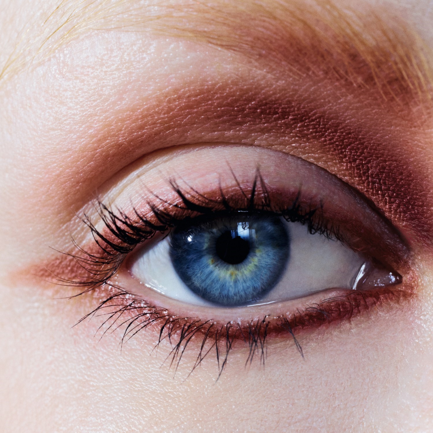 SOMBRA DE OJOS MULTIUSOS DE LARGA DURACIÓN